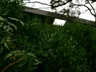 Profile picture of biibiia