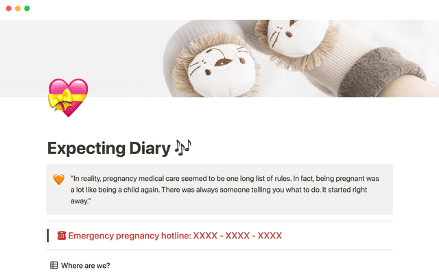 Expecting mother diary